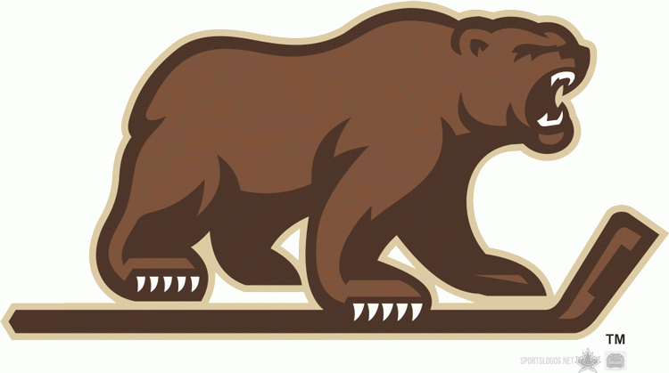 Hershey Bears 2012 13-Pres Alternate Logo iron on heat transfer